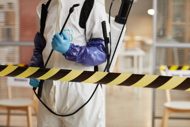 Professional Sewage Cleanup technician working in Edgewood, OH